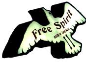 Free Spirit Cafe